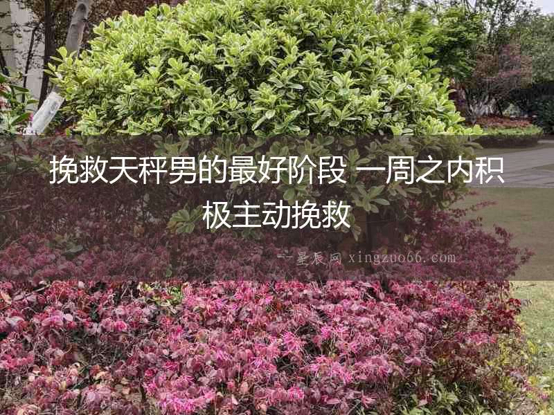 挽救天秤男的最好階段 一周之內(nèi)積極主動(dòng)挽救