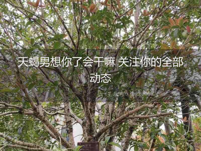 天蝎男想你了會干嘛 關(guān)注你的全部動態(tài)