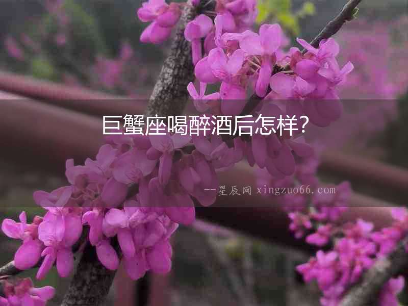 巨蟹座喝醉酒后怎樣？