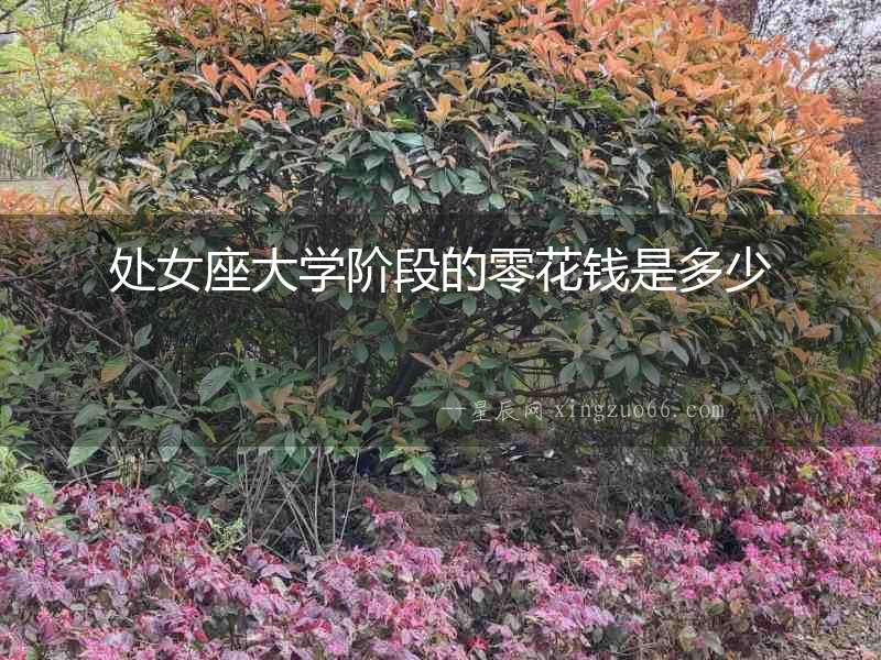 處女座大學階段的零花錢是多少