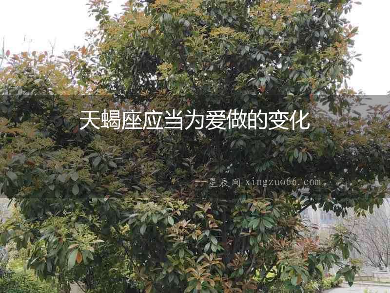 天蝎座應當為愛做的變化