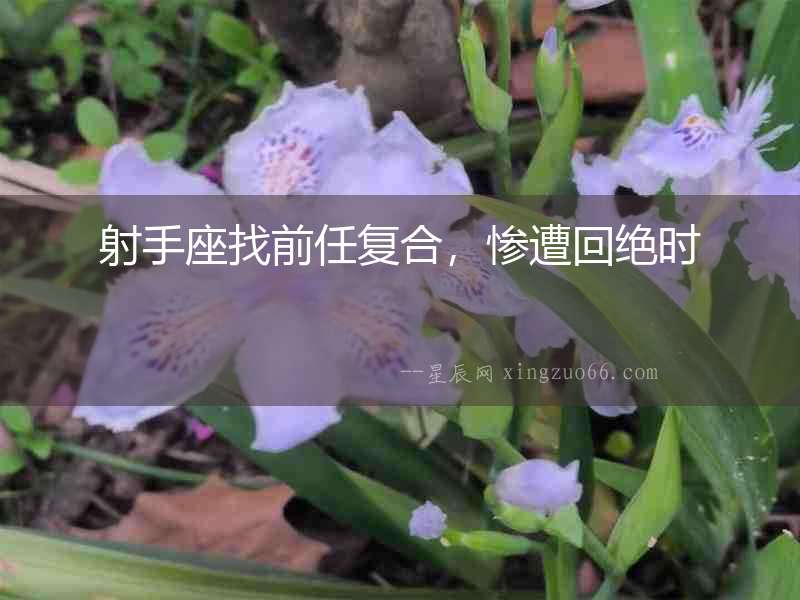 射手座找前任復合，慘遭回絕時