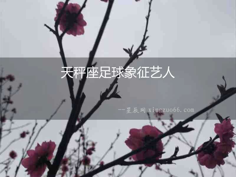 天秤座足球象征藝人