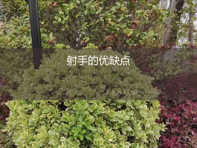 射手的優(yōu)缺點(diǎn)
