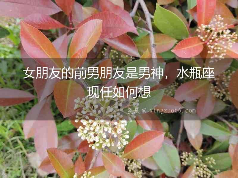 女朋友的前男朋友是男神，水瓶座現(xiàn)任如何想