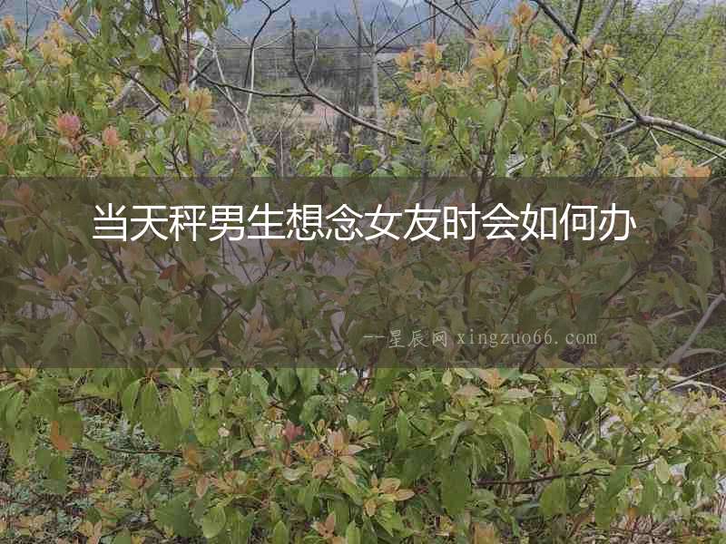 當天秤男生想念女友時會如何辦