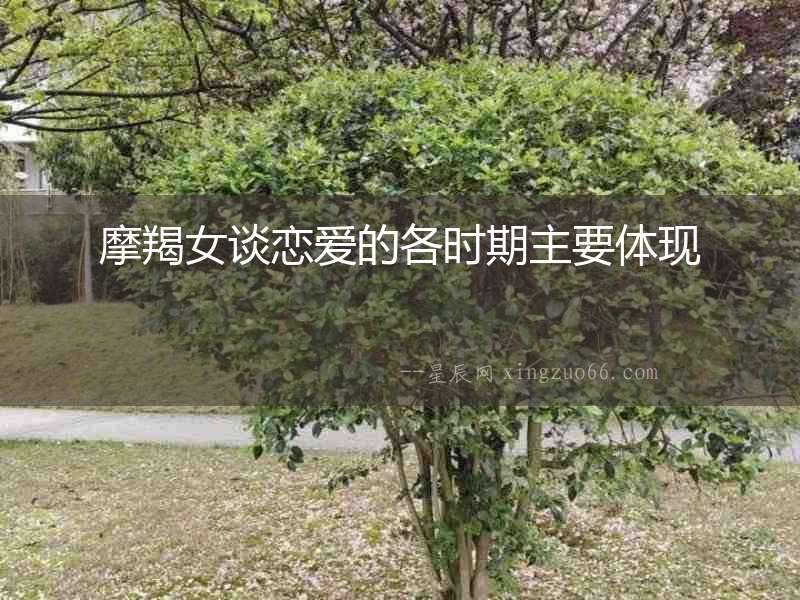 摩羯女談戀愛(ài)的各時(shí)期主要體現(xiàn)