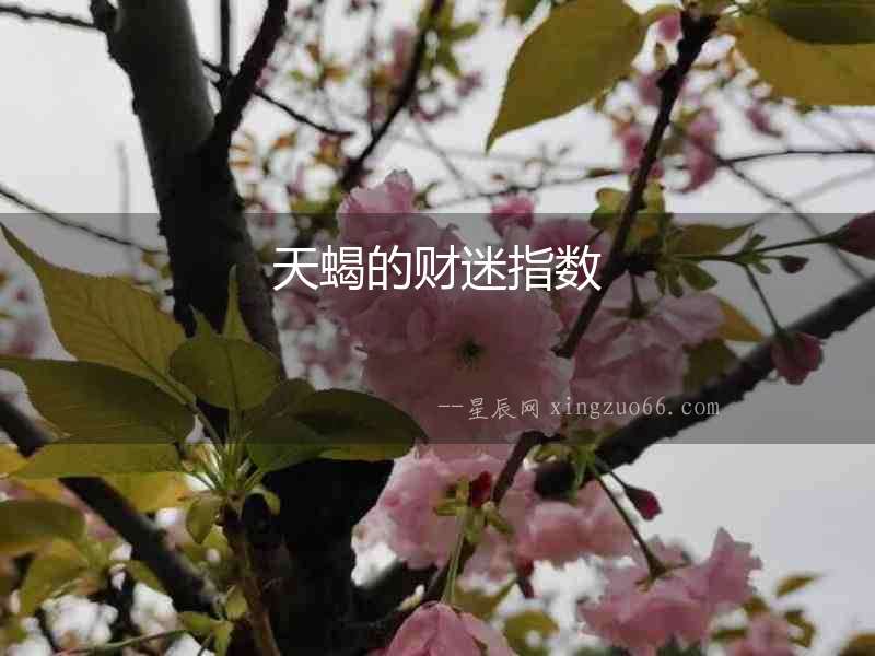天蝎的財(cái)迷指數(shù)