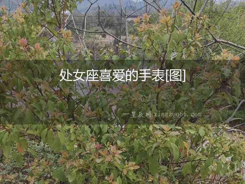 處女座喜愛(ài)的手表[圖]