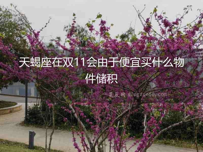 天蝎座在雙11會由于便宜買什么物件儲積