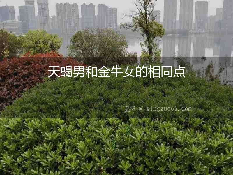 天蝎男和金牛女的相同點(diǎn)