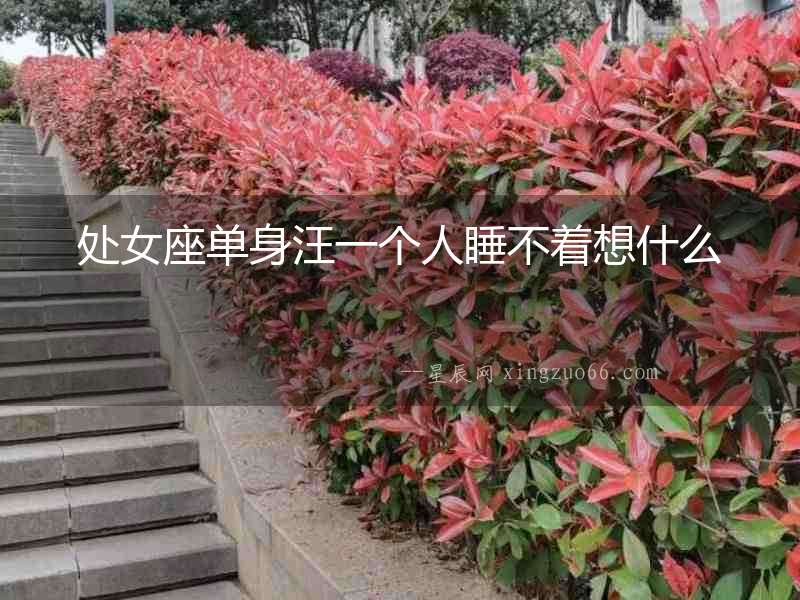 處女座單身汪一個人睡不著想什么