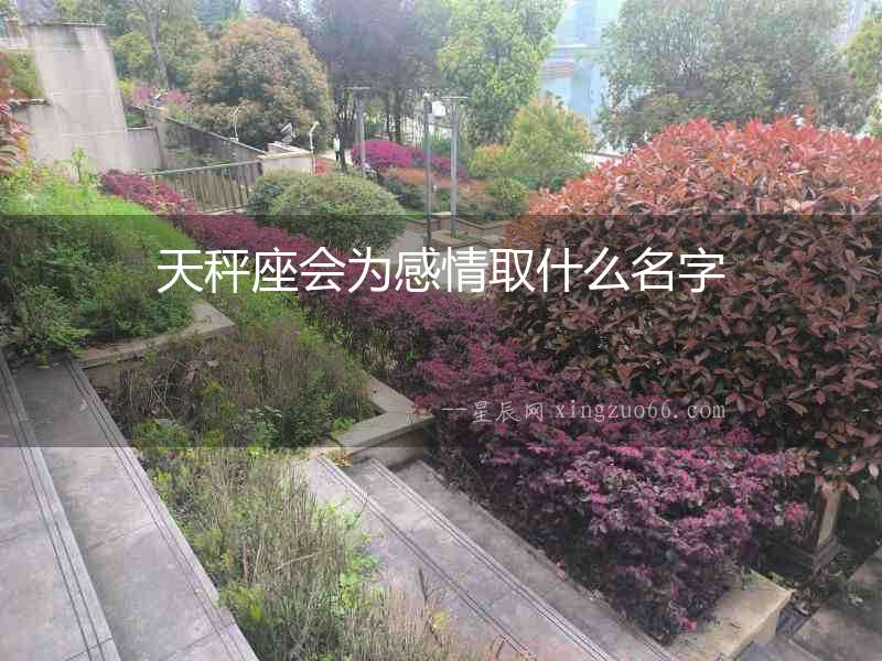 天秤座會為感情取什么名字