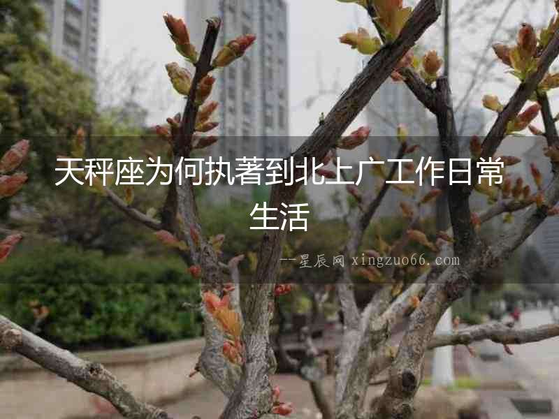 天秤座為何執著到北上廣工作日常生活