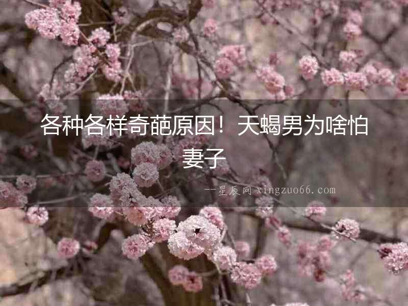 各種各樣奇葩原因！天蝎男為啥怕妻子