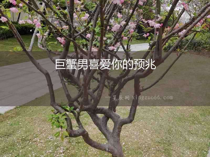 巨蟹男喜愛你的預(yù)兆