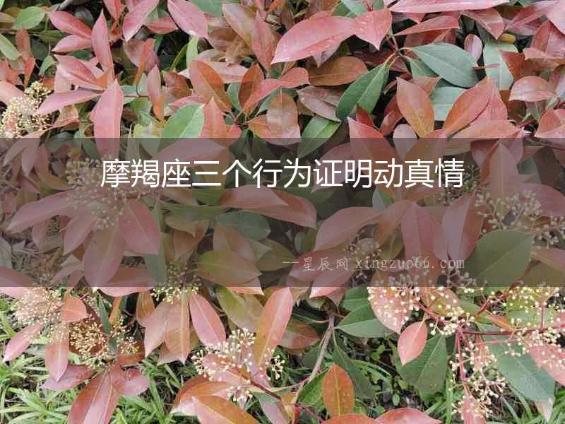 摩羯座三個行為證明動真情