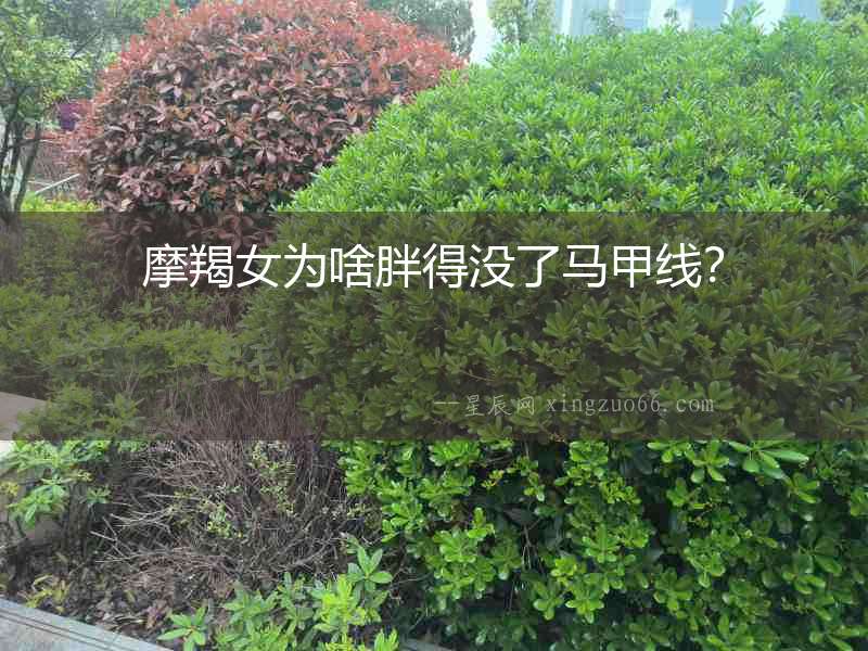 摩羯女為啥胖得沒了馬甲線？