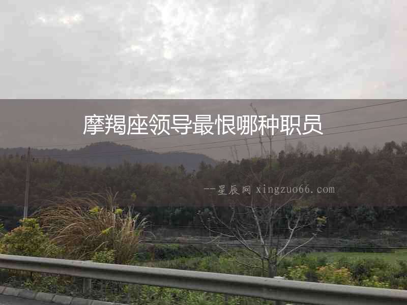摩羯座領(lǐng)導最恨哪種職員