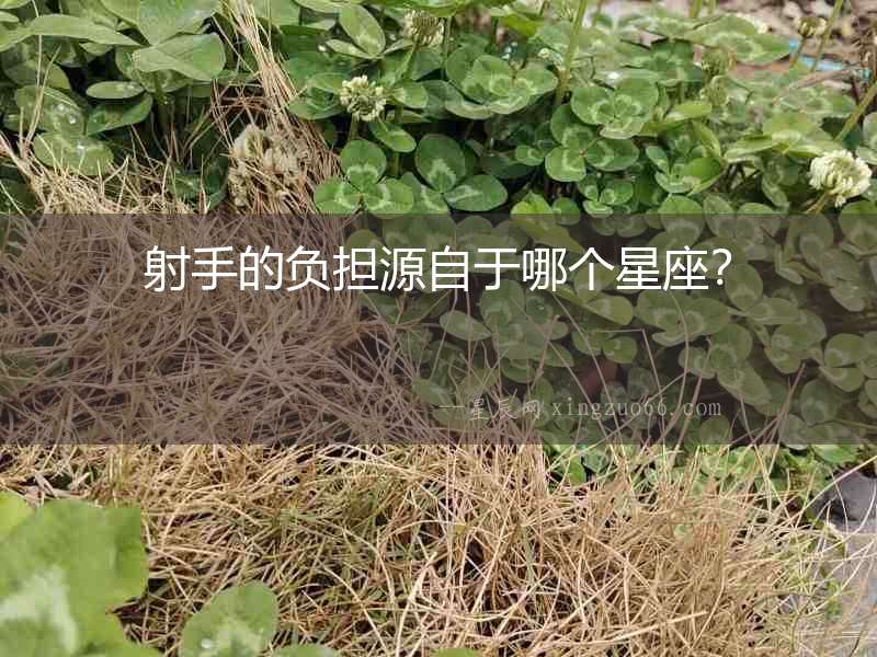 射手的負擔源自于哪個星座？