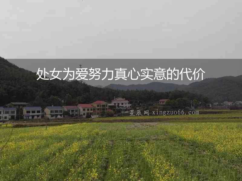 處女為愛努力真心實意的代價