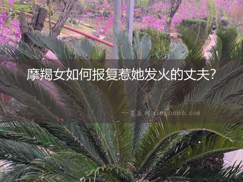 摩羯女如何報復(fù)惹她發(fā)火的丈夫？