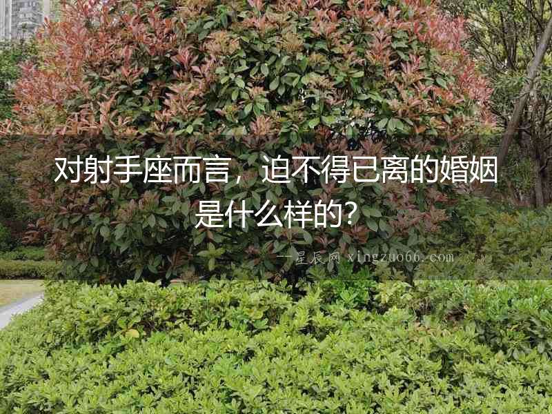 對(duì)射手座而言，迫不得已離的婚姻是什么樣的？
