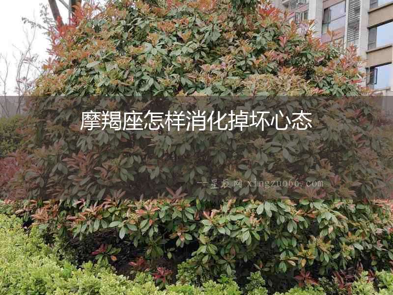 摩羯座怎樣消化掉壞心態