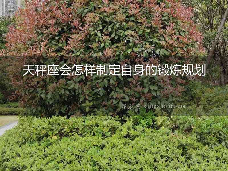 天秤座會怎樣制定自身的鍛煉規劃