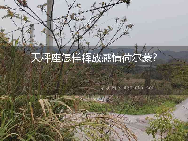 天秤座怎樣釋放感情荷爾蒙？