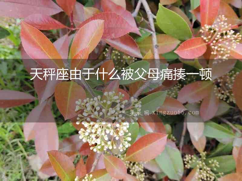 天秤座由于什么被父母痛揍一頓