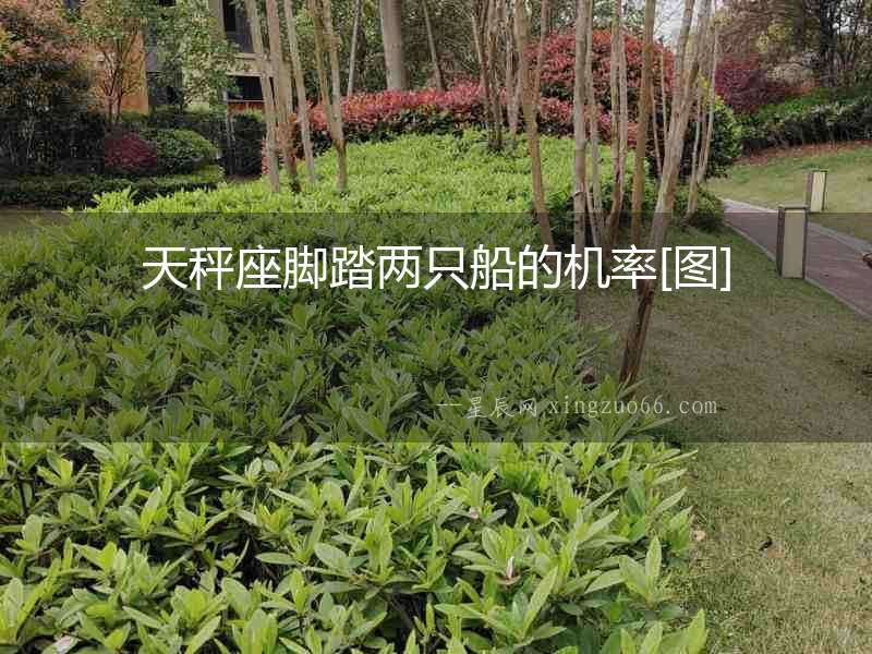天秤座腳踏兩只船的機率[圖]