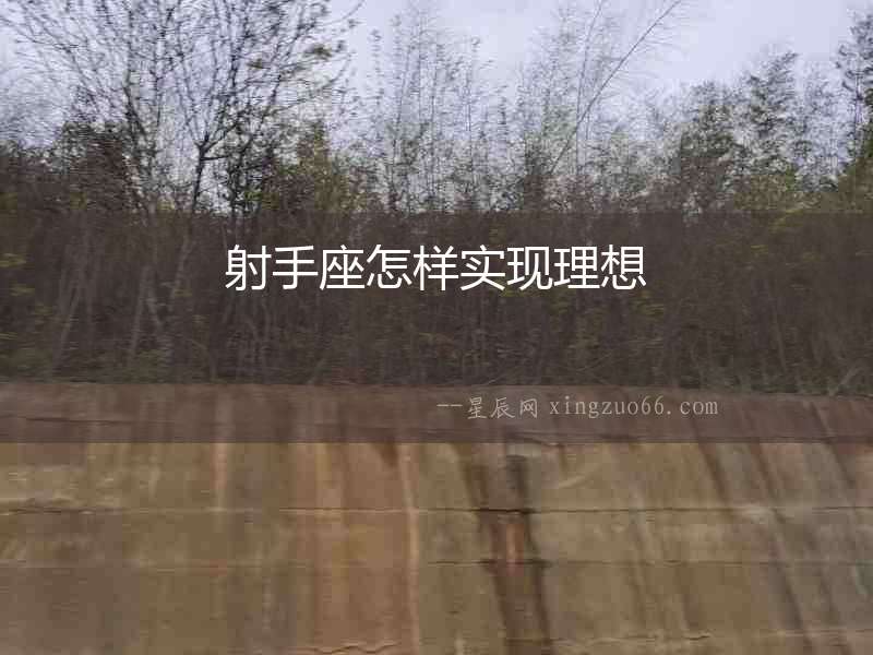 射手座怎樣實(shí)現(xiàn)理想