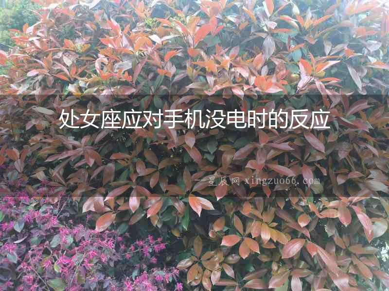 處女座應對手機沒電時的反應