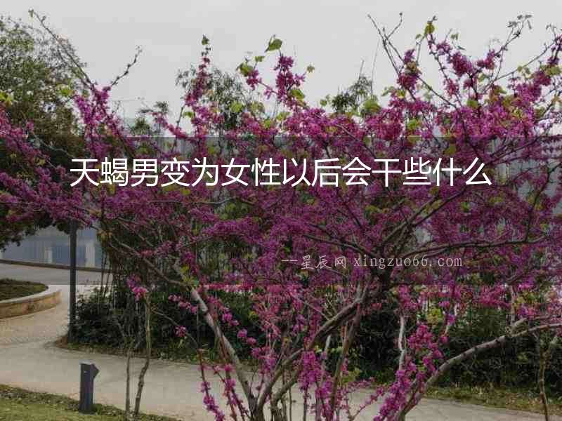 天蝎男變為女性以后會干些什么