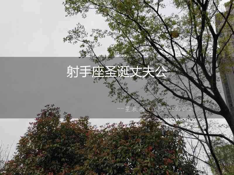 射手座圣誕丈夫公