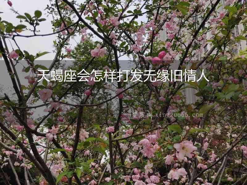 天蝎座會(huì)怎樣打發(fā)無(wú)緣舊情人