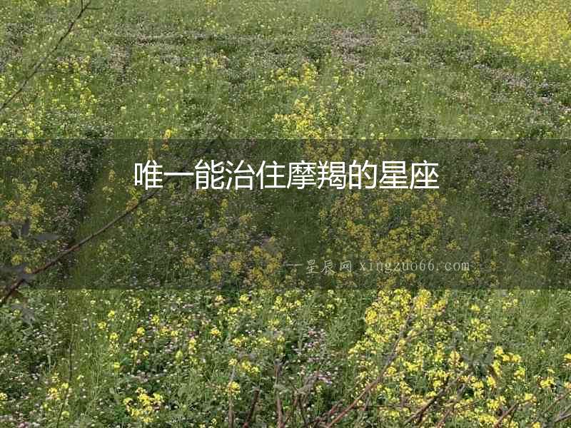 唯一能治住摩羯的星座