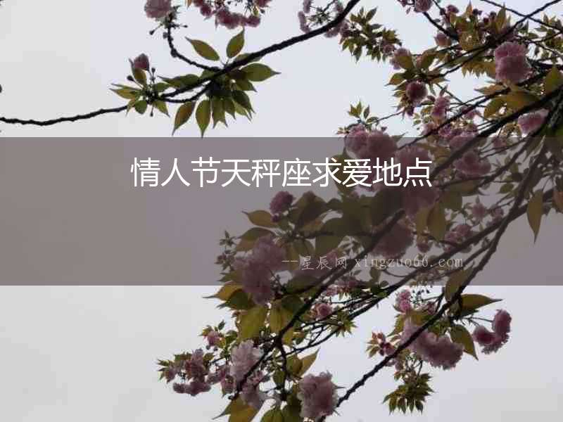 情人節(jié)天秤座求愛地點(diǎn)