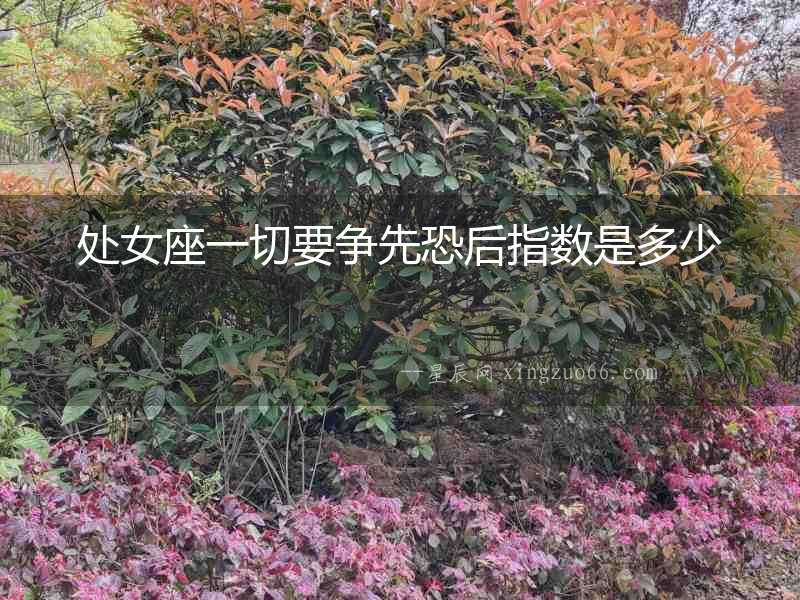 處女座一切要爭先恐后指數是多少