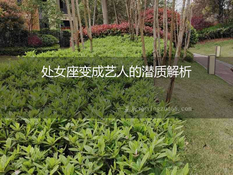 處女座變成藝人的潛質解析