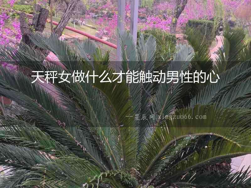天秤女做什么才能觸動男性的心