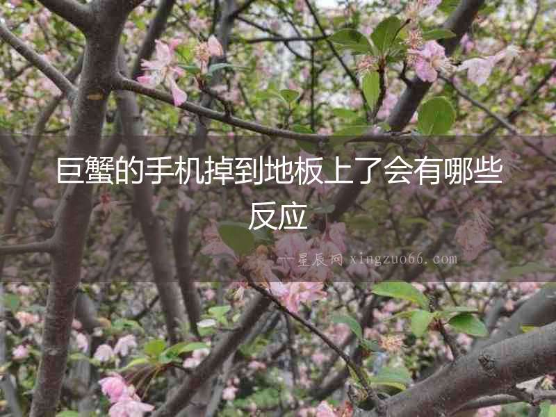 巨蟹的手機(jī)掉到地板上了會(huì)有哪些反應(yīng)