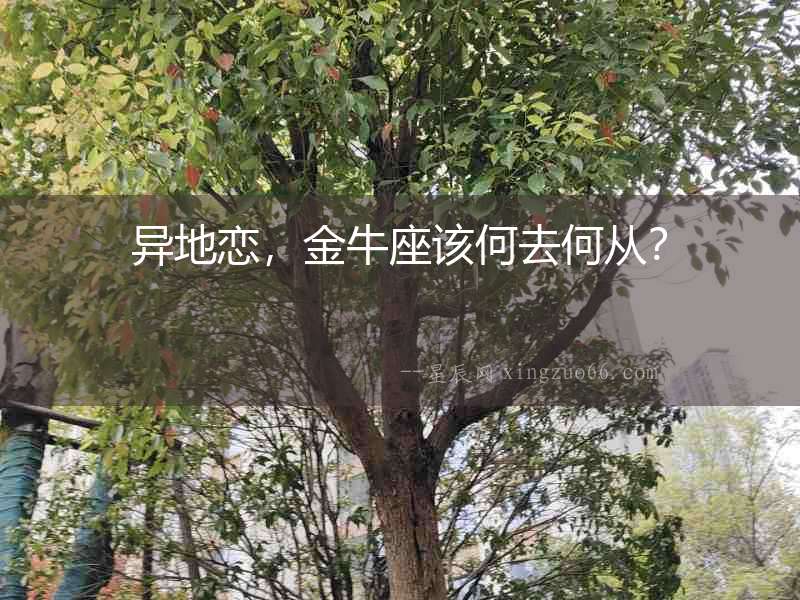 異地戀，金牛座該何去何從？