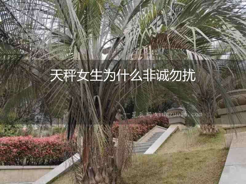 天秤女生為什么非誠勿擾