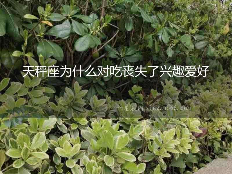天秤座為什么對吃喪失了興趣愛好