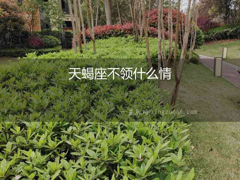 天蝎座不領(lǐng)什么情