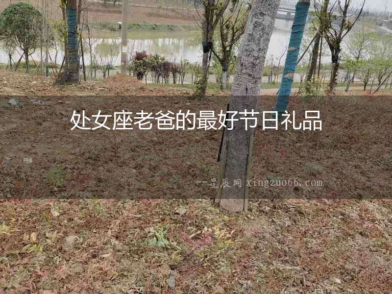 處女座老爸的最好節(jié)日禮品