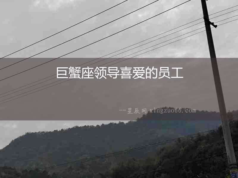 巨蟹座領(lǐng)導(dǎo)喜愛(ài)的員工