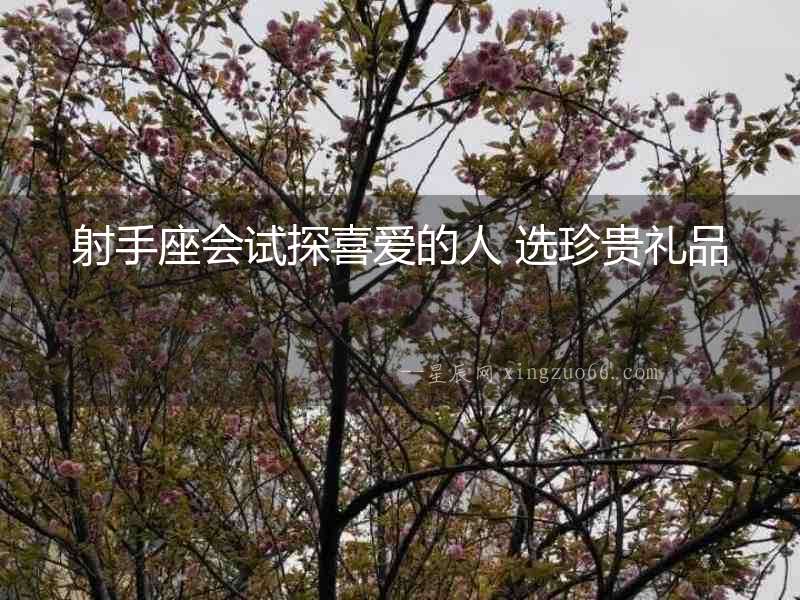 射手座會(huì)試探喜愛的人 選珍貴禮品